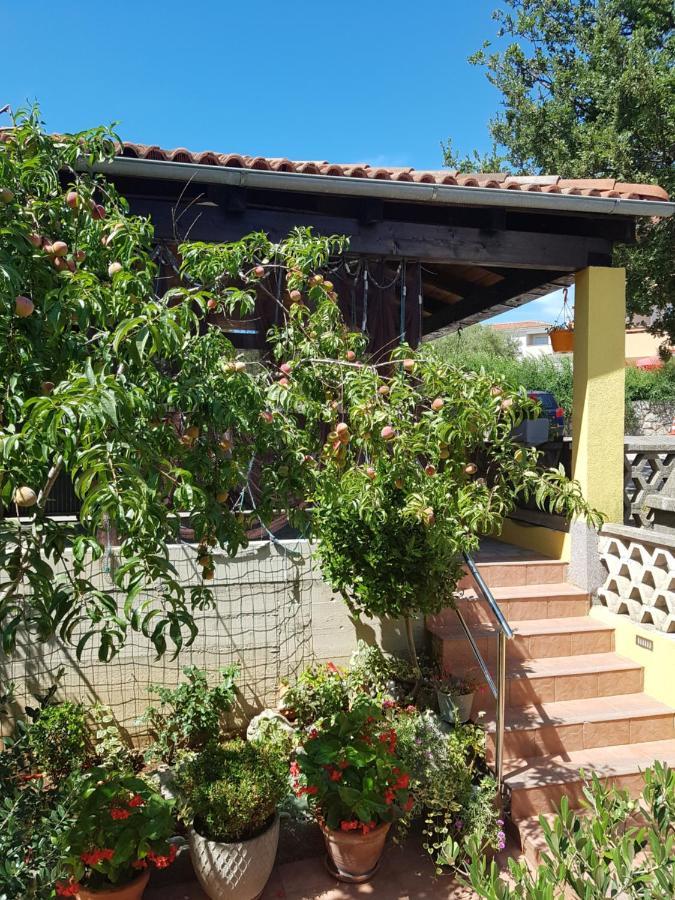 Apartmani Grguric Kornić Extérieur photo