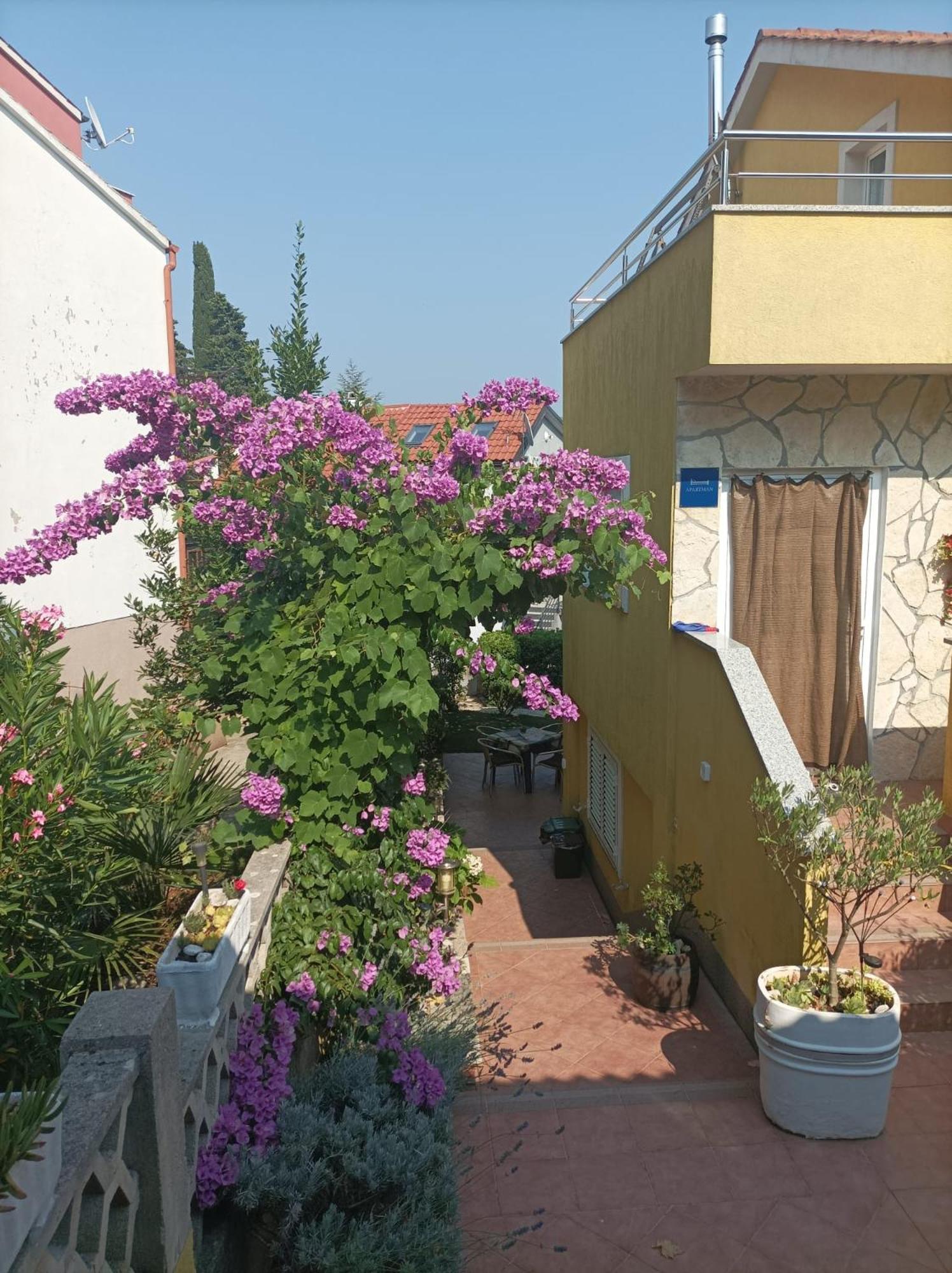Apartmani Grguric Kornić Extérieur photo