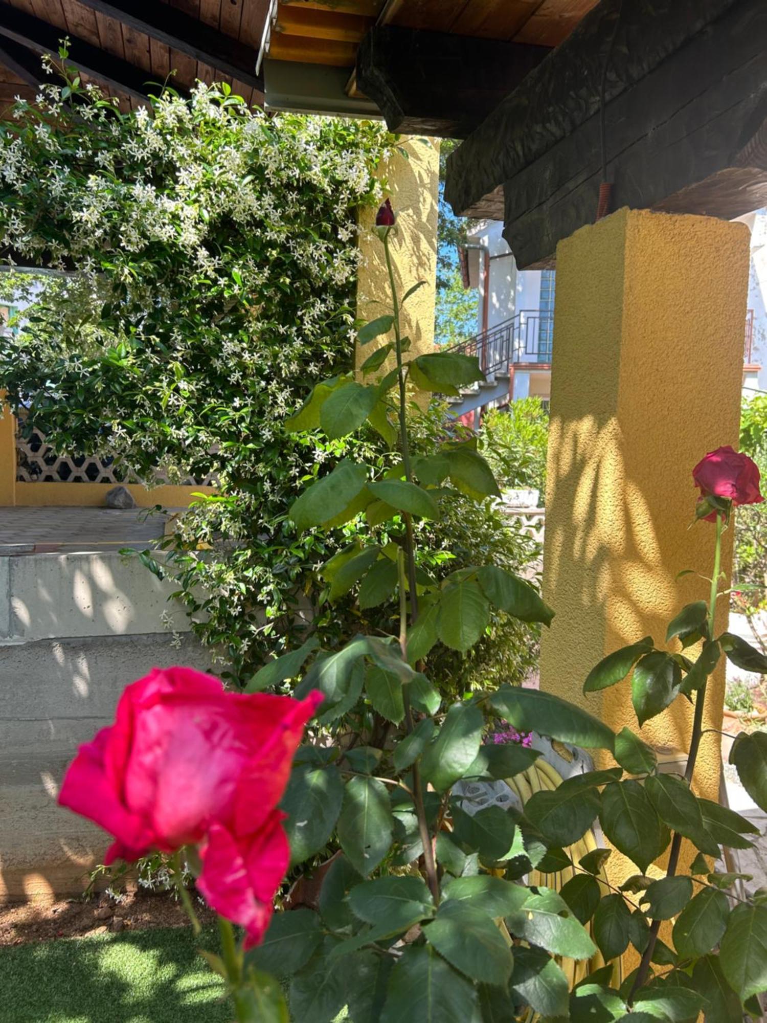Apartmani Grguric Kornić Extérieur photo