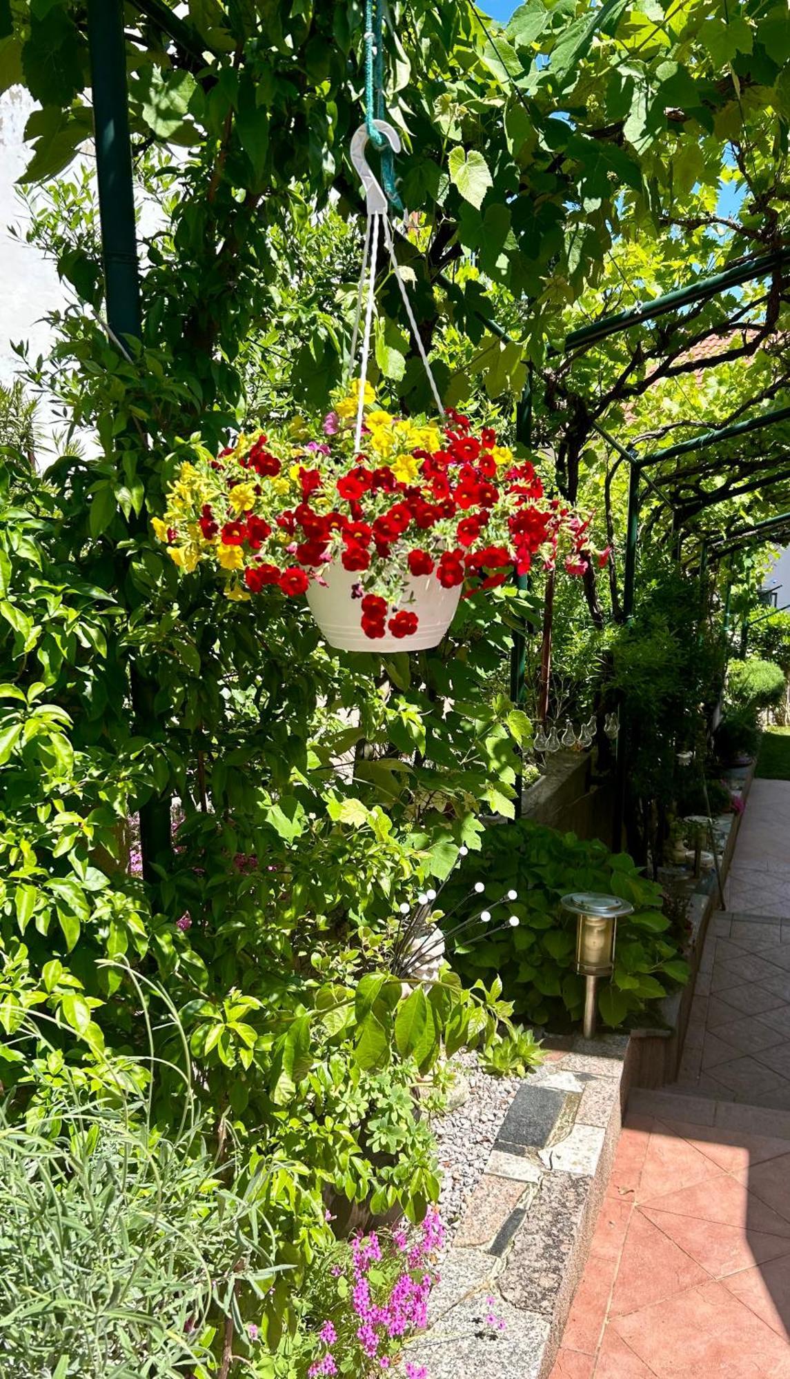 Apartmani Grguric Kornić Extérieur photo